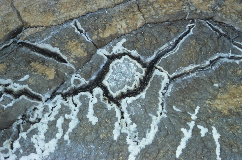 Concrétions de sels