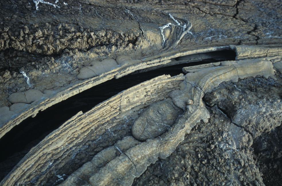 Petit tunnel de lave éventré