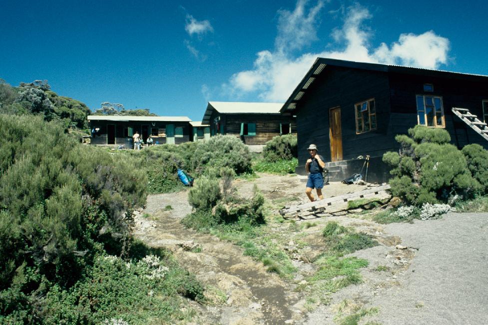 Camp de Saddle Hut (3565m)