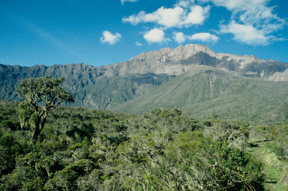 Lumière du matin sur le Ash Cone et le Mont Meru