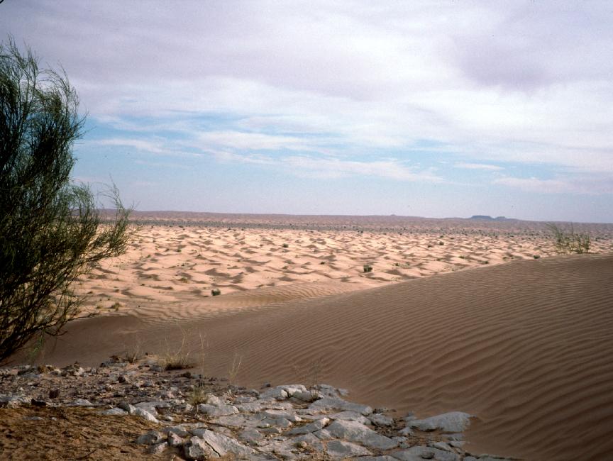 Les plateaux au fond servent de repère pour la marche 