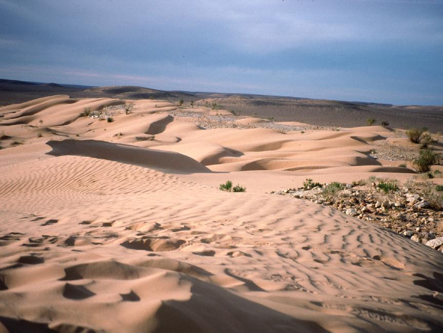 Nous ne quitterons pas ces paysages pendant toute la balade 