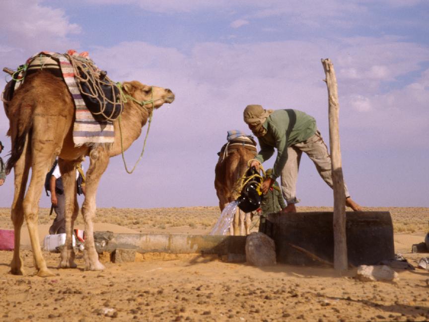 De l'eau... et des amateurs ! 