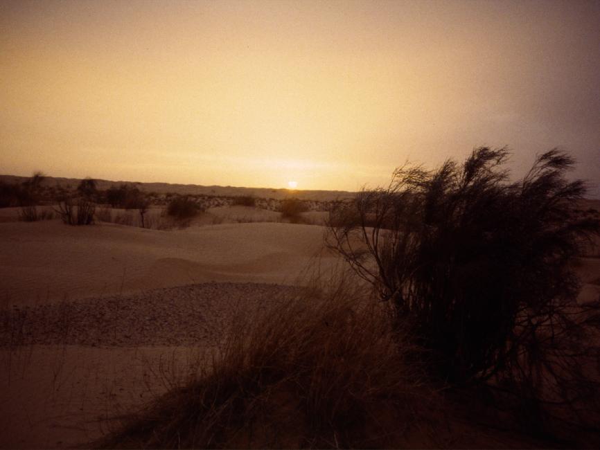 Coucher de soleil sur le sable 