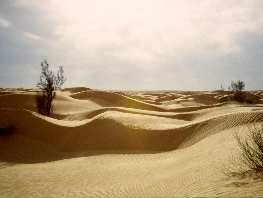 Paysage de dunes... 