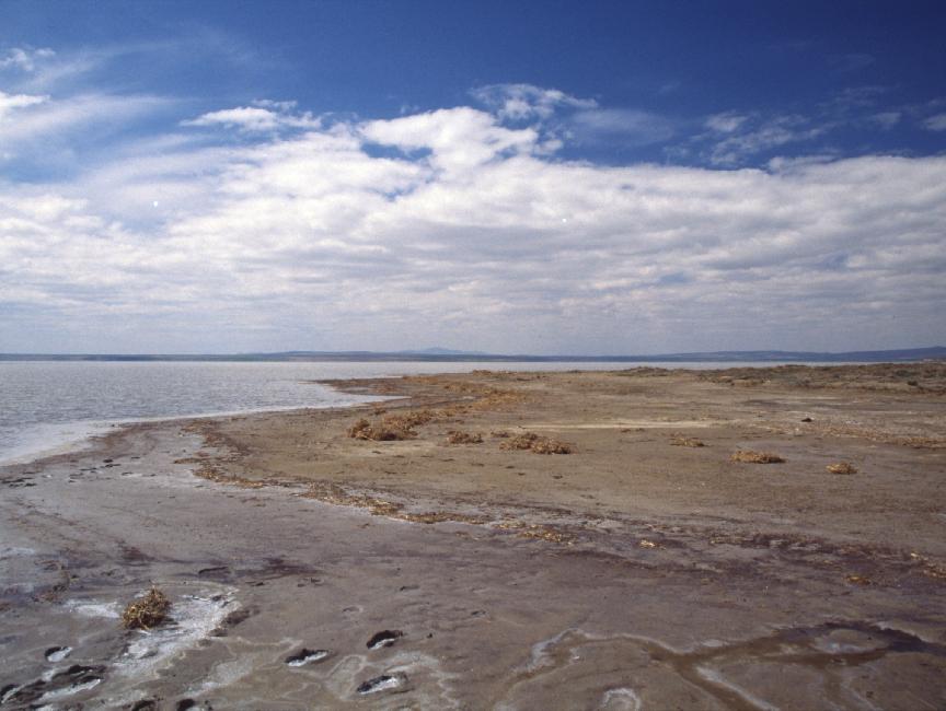 Pause autour du Tuz Golu, immense lac salé