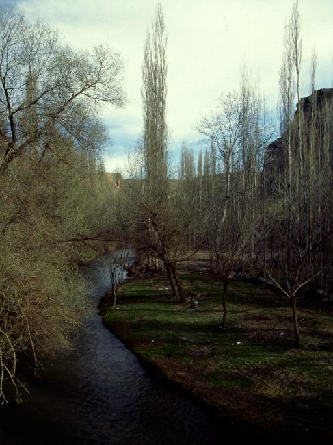 Les rives de la rivière Melendiz sont plantées de peupliers