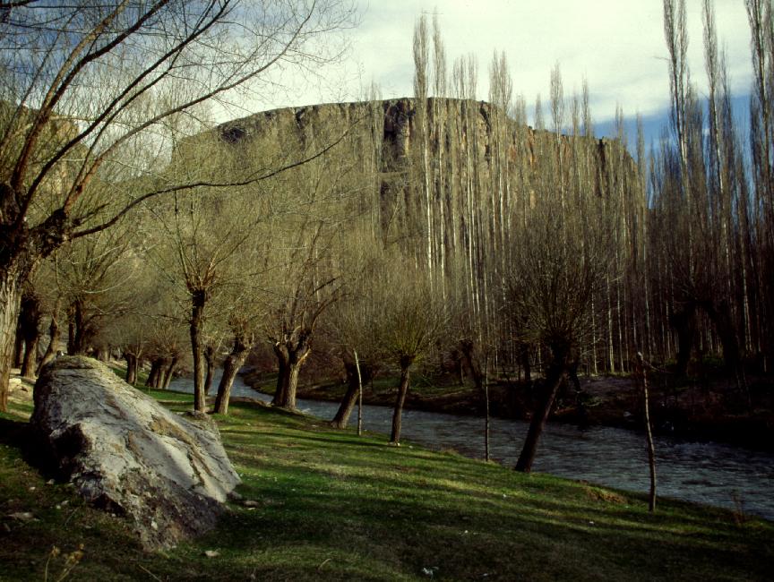 Les rives de la rivière Melendiz sont plantées de peupliers