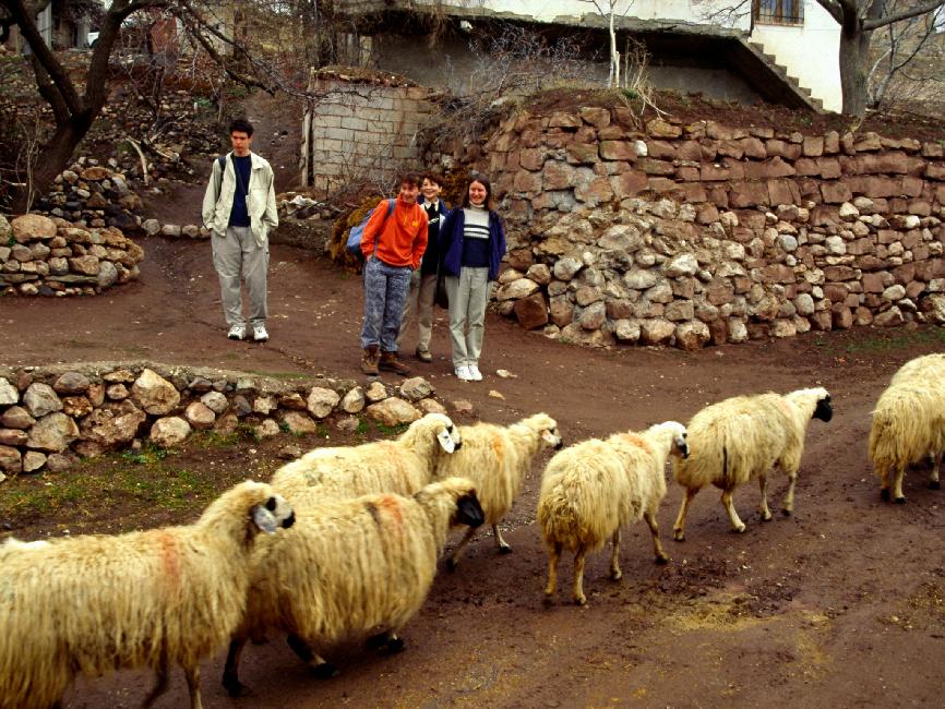 Départ de Cukurbag ; priorité aux autochtones