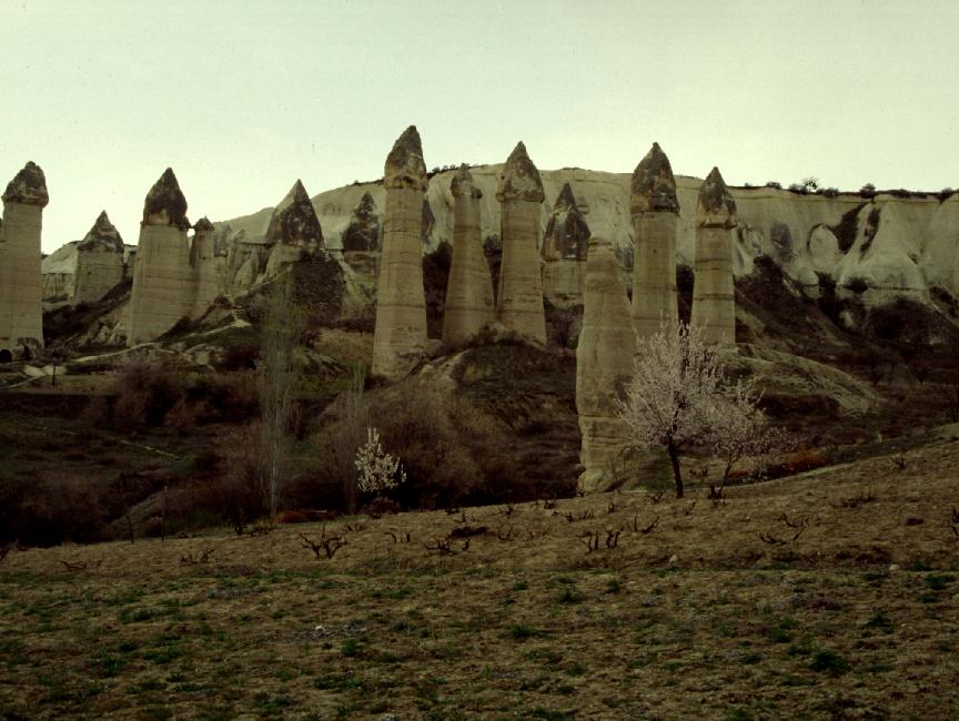 Forêt de cheminées de fées